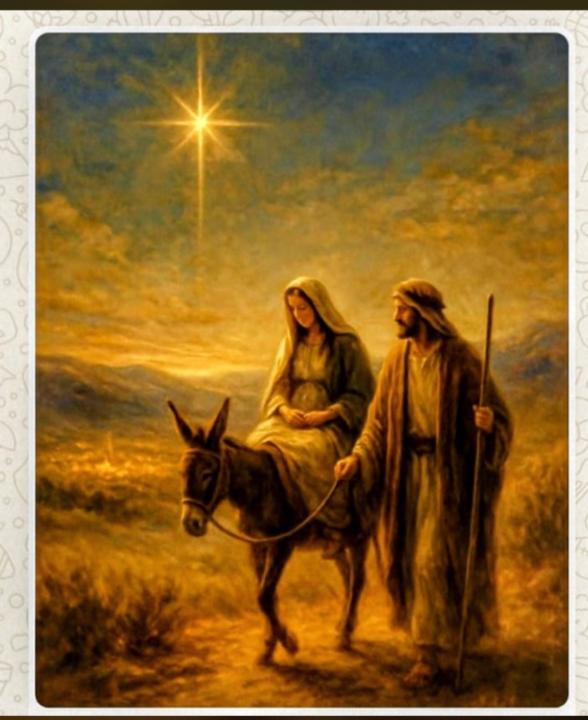 Maria Jose Fernandez