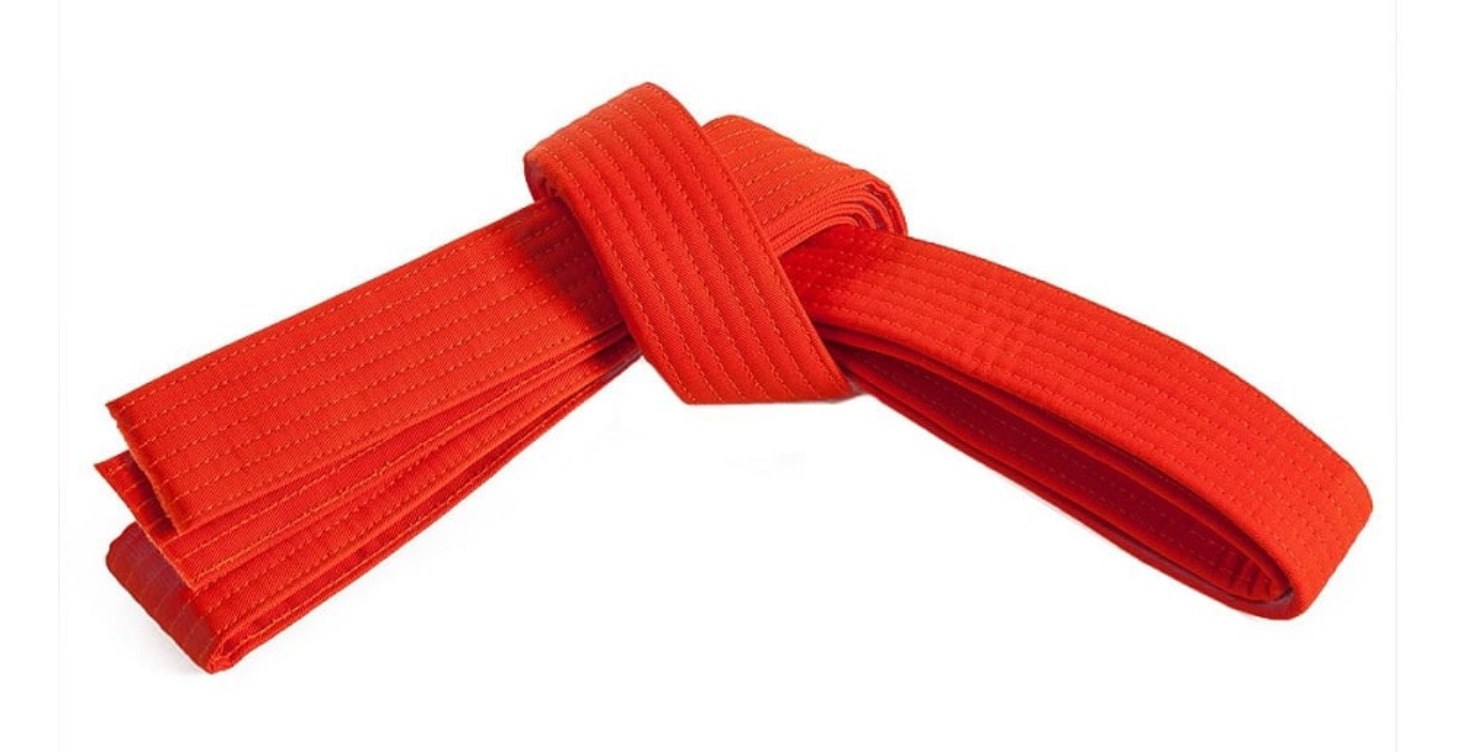 Adv. Beg. Curriculum: Orange Belt
