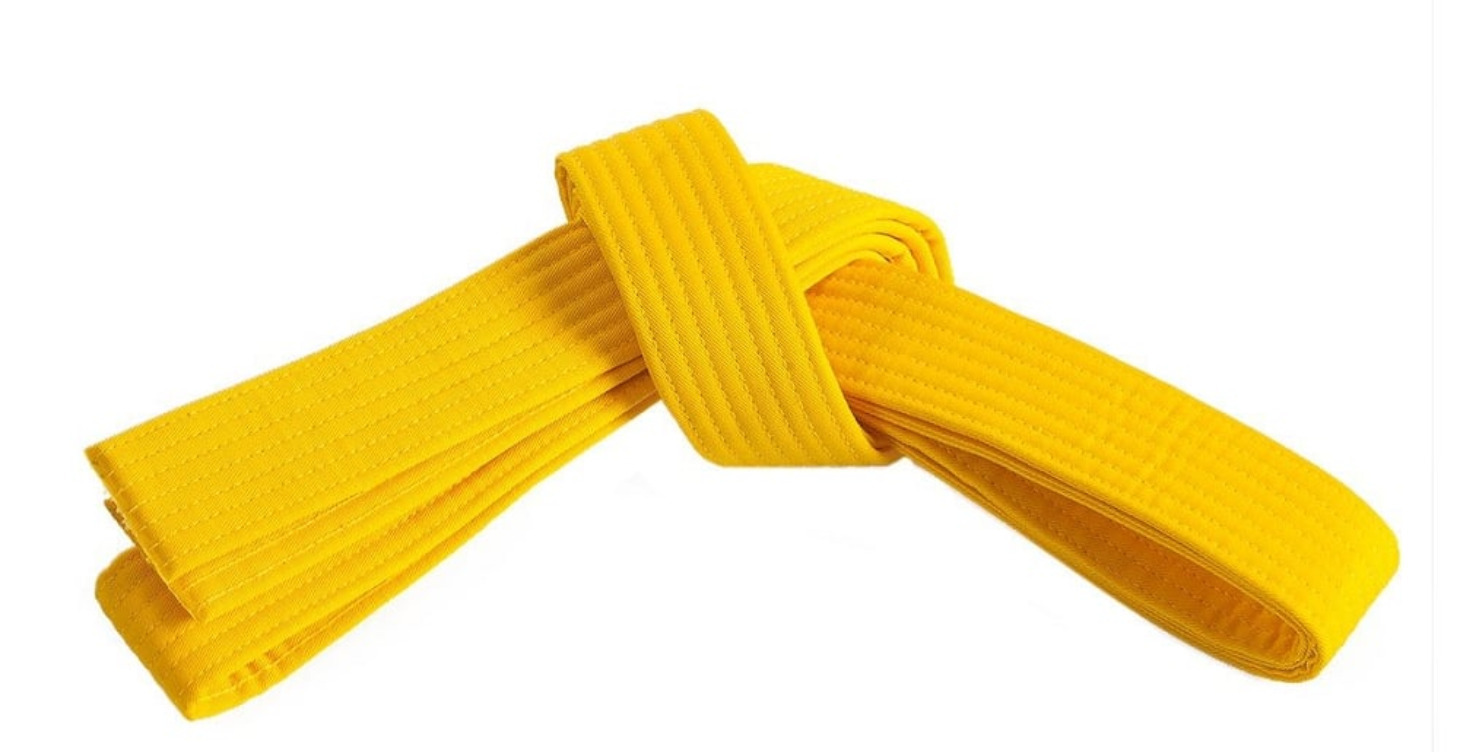Beg. Curriculum: Yellow Belt