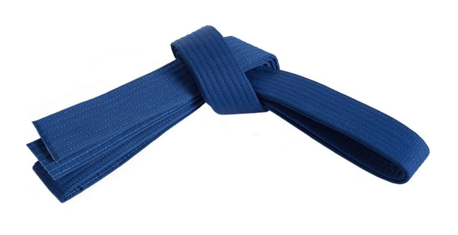 Int. Curriclum: Blue Belt
