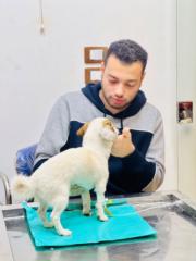 Mohamed Loutfi
