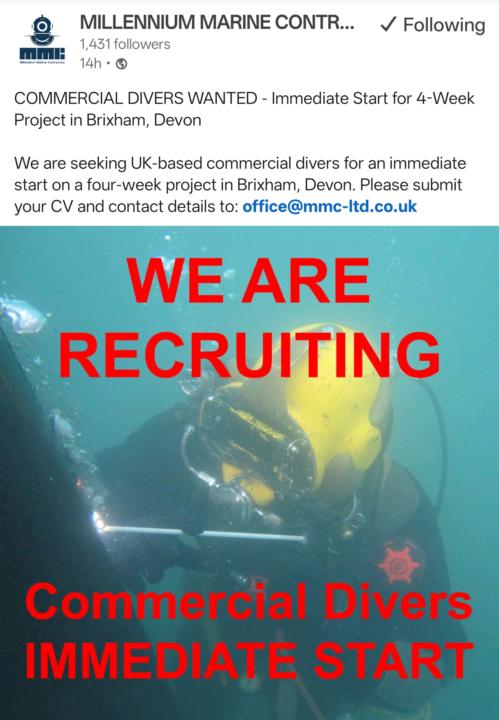 Immediate start - 4 week project 