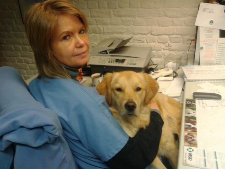 Caroline de Terwangne