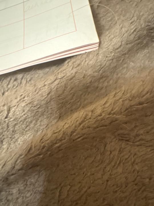 Aaa B