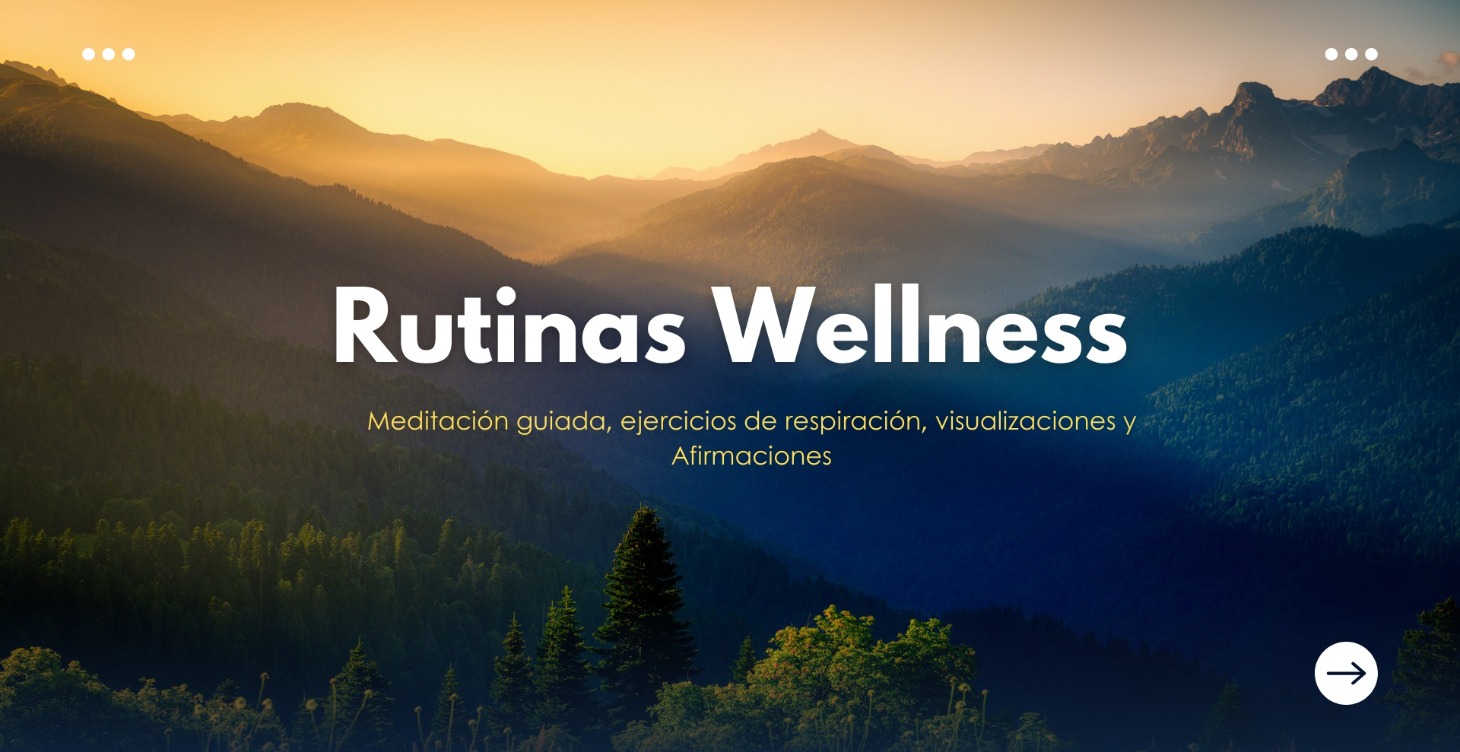 Wellness: Crea un Bienestar que Perdure