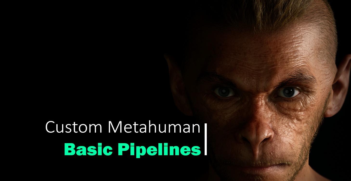 커스텀 메타휴먼 Basic