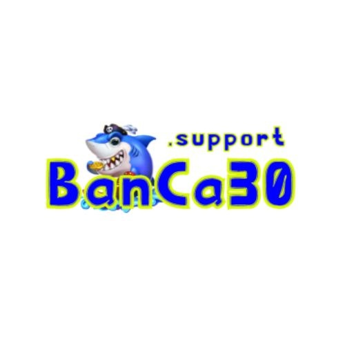 Banca Support