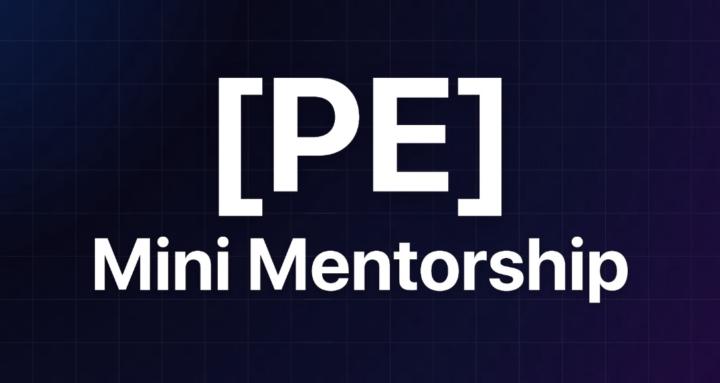 Perry Ecom Mini Mentorship