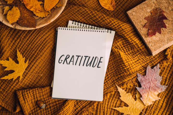 💭 Thanksgiving-Season Reminder: Gratitude Is a Neurological Interrupt