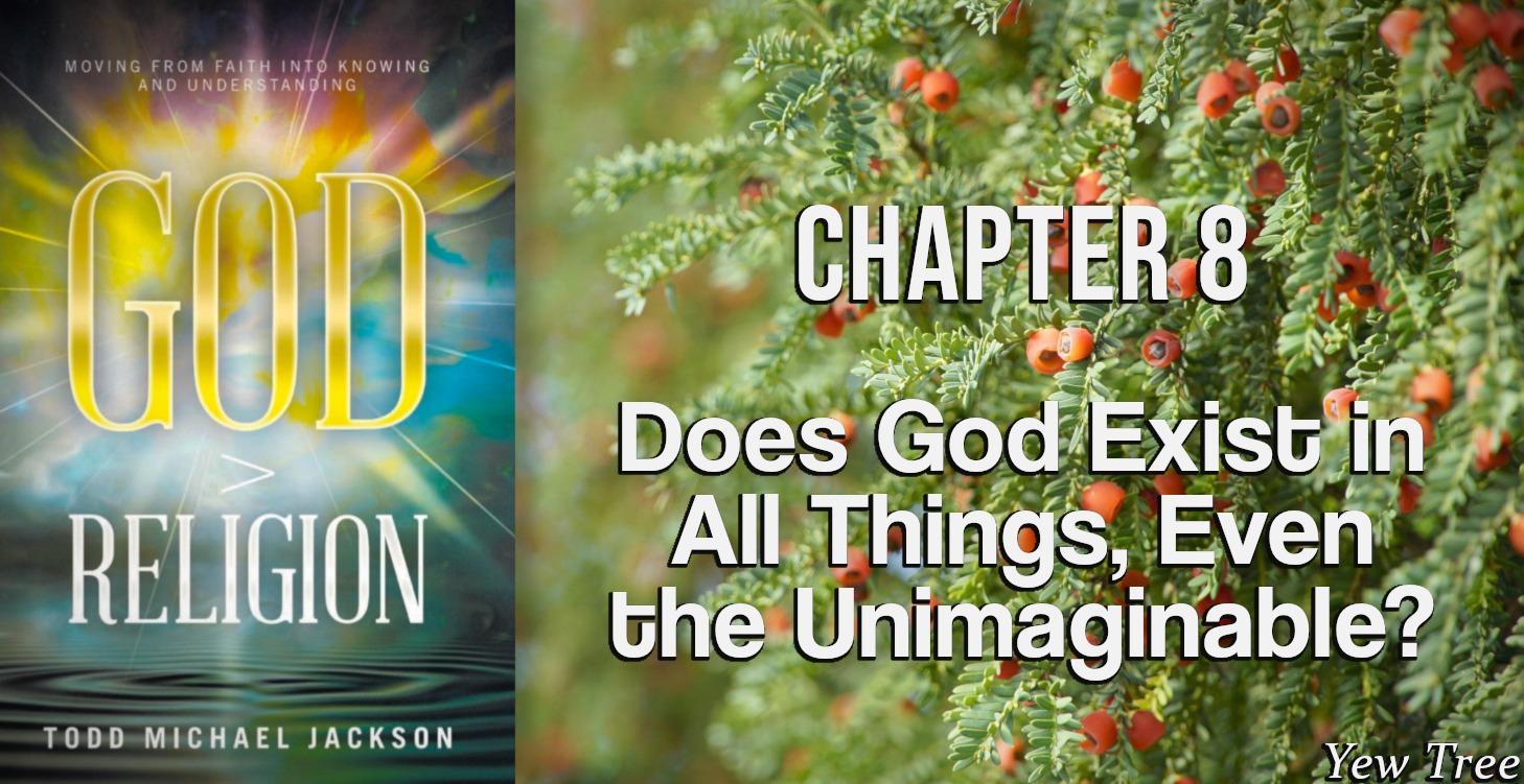 Chapter 8: Does God Exist in All Things?