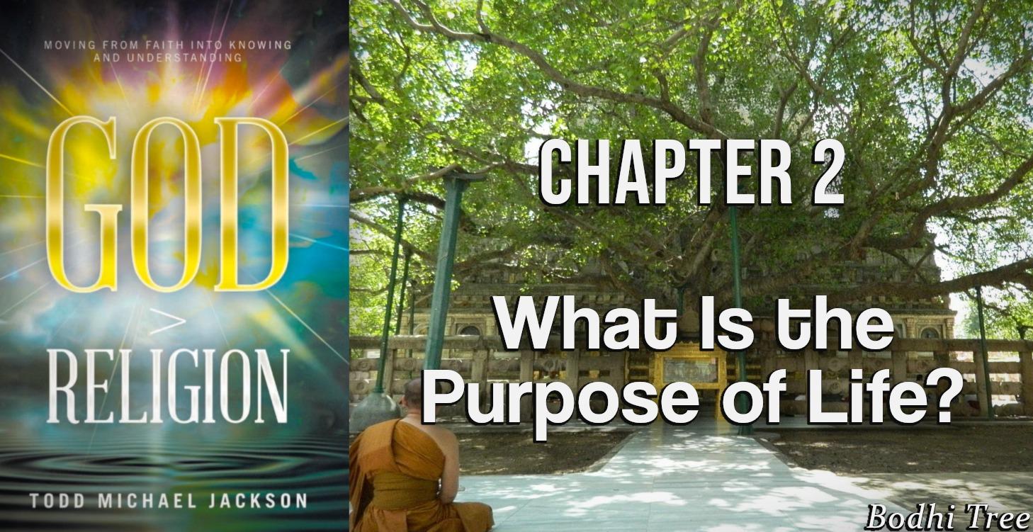 Chapter 2: What Is the Purpose of Life?
