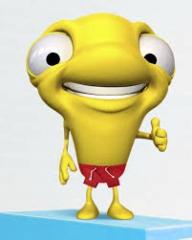 Javier Montenegro Carvallo