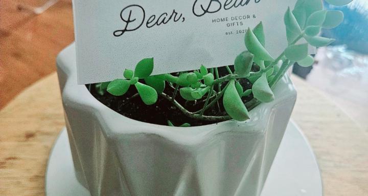 Dear Bean