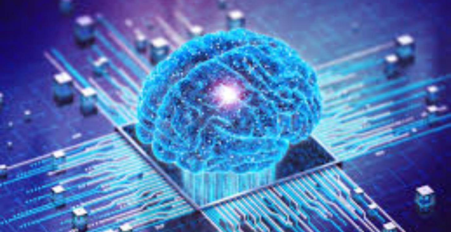 Apex AI work
