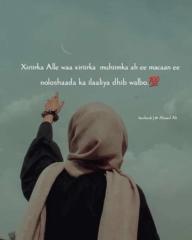 Hibak Adam
