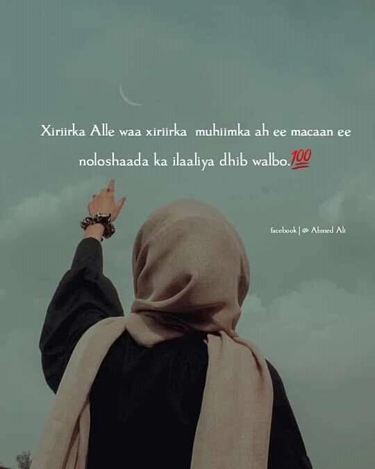 Hibak Adam