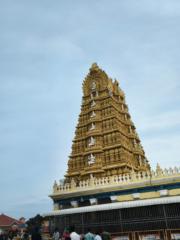 Darshan Jadhav