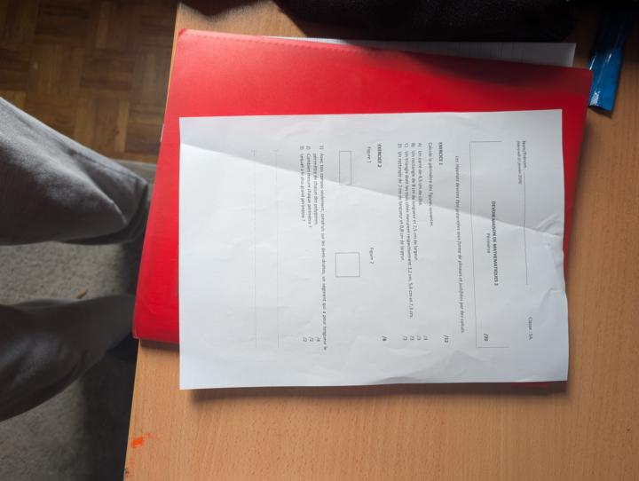 Devoir mathématiques 