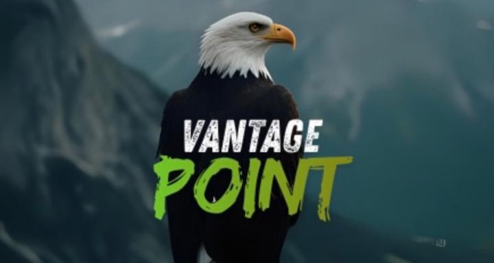 Vantage Point