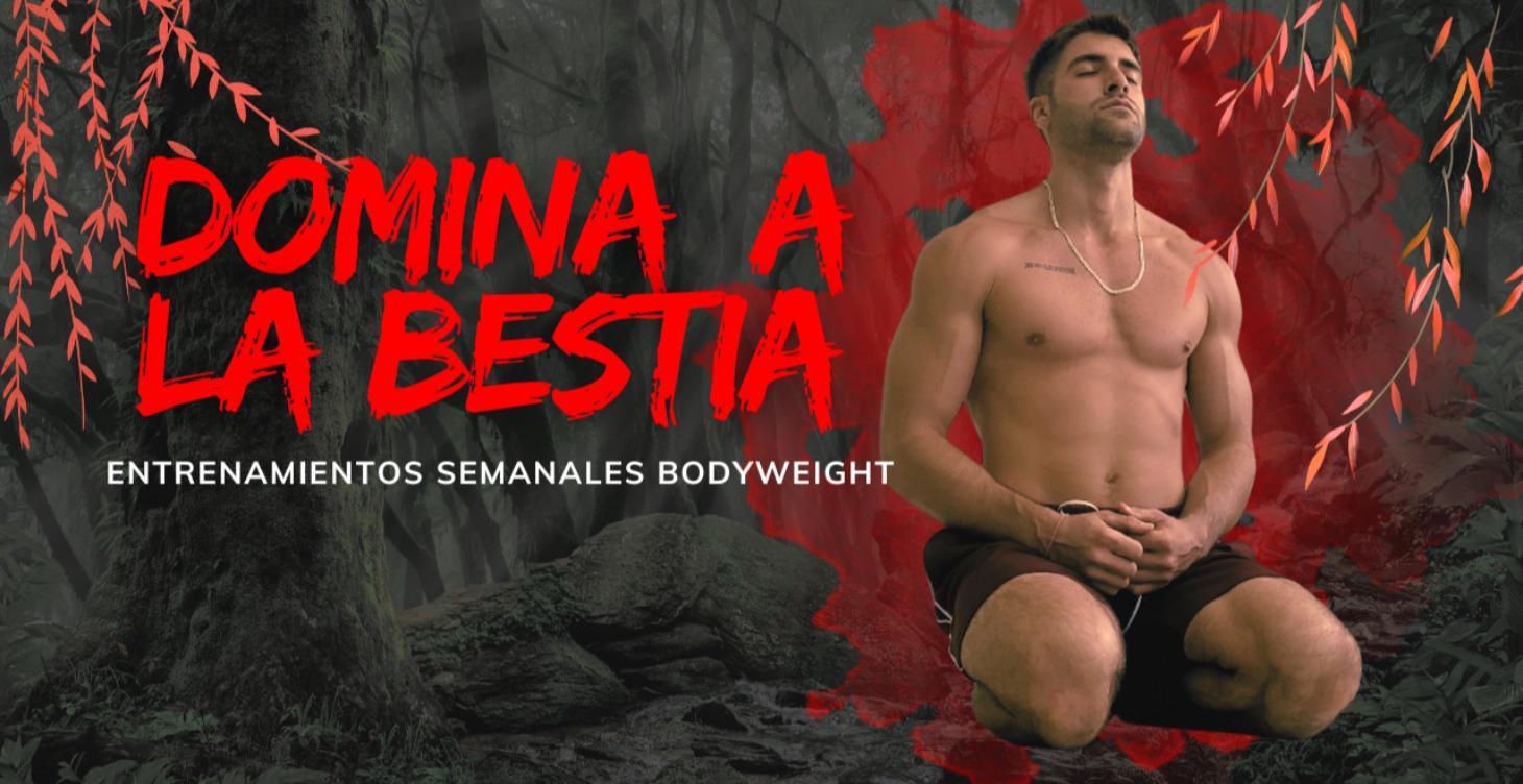 Domina a la Bestias / Entrenamientos semanales