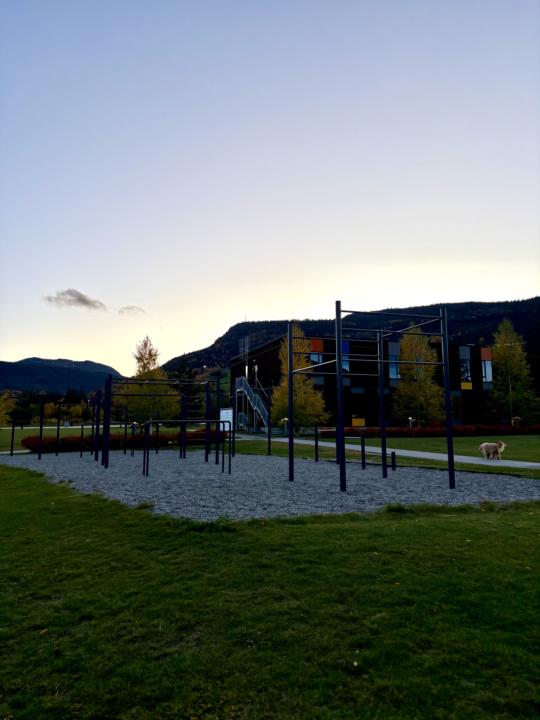 ¿Esto es una victoria? 🤔