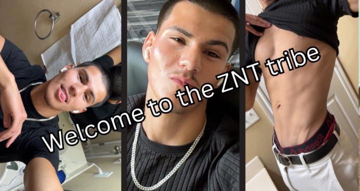 ZNT_tribal