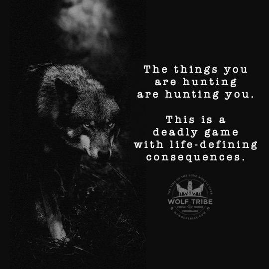 Its time to set the hunts for this coming week, tribe!  