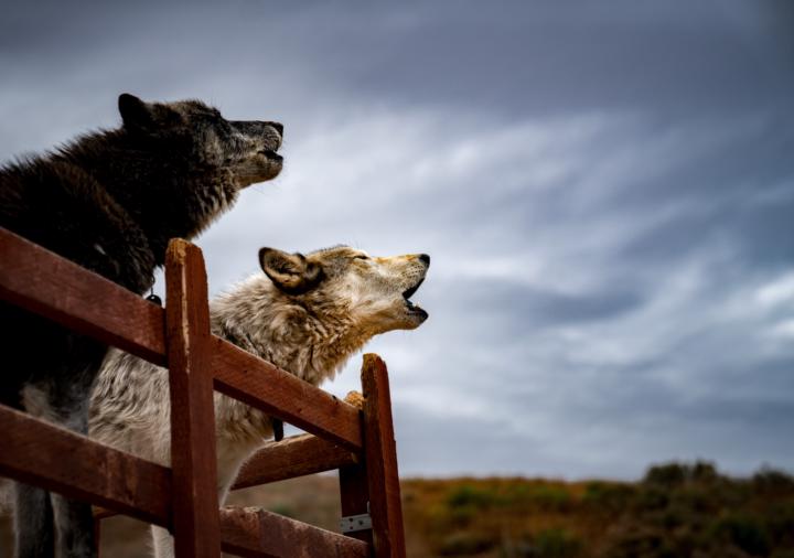 Share your treasure!