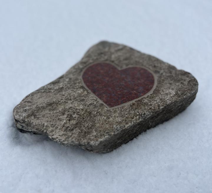 2/14 check-in. A special reflection. 