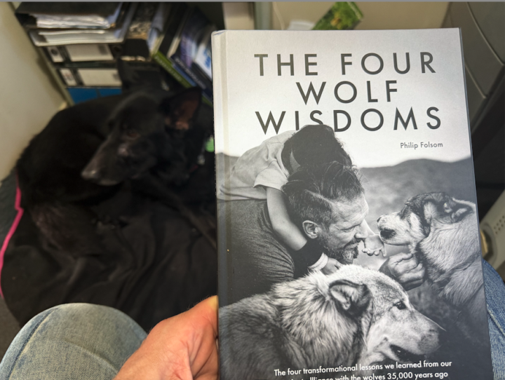 Four Wolf Wisdoms