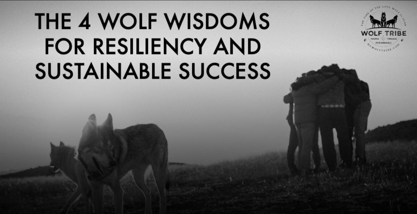 Wolf Wisdom and Pack Roles Webinar