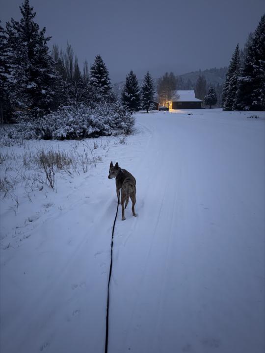 12/3- Third Check In