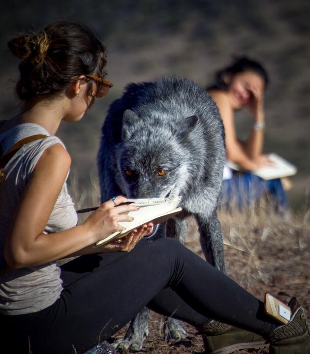 Big Game hunting for clarity and accountability for this coming week.