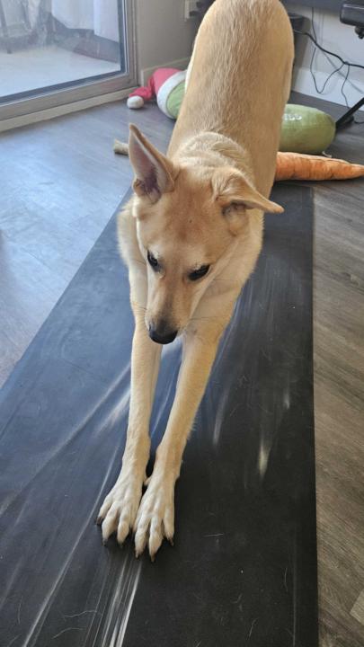 12/4 Check-In: I Did Something