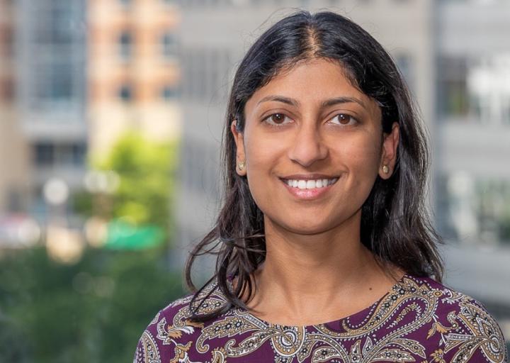 Sindhu Michel