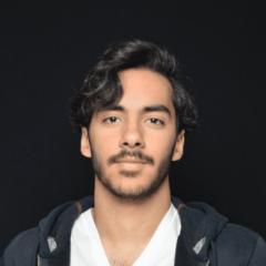 Mohammad Alterki