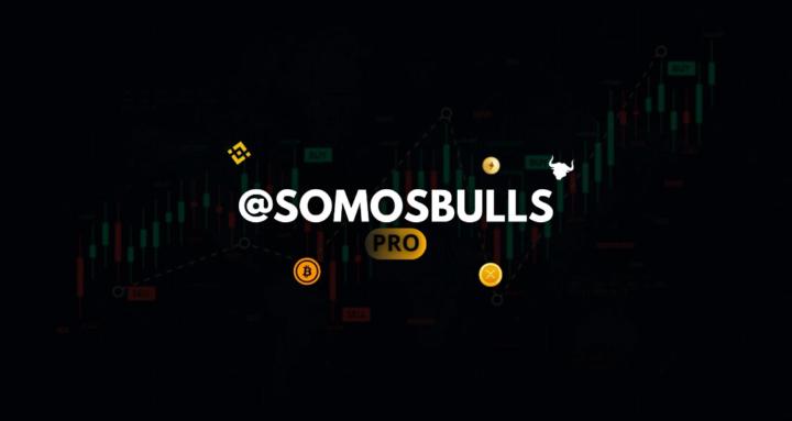 SomosBulls PRO
