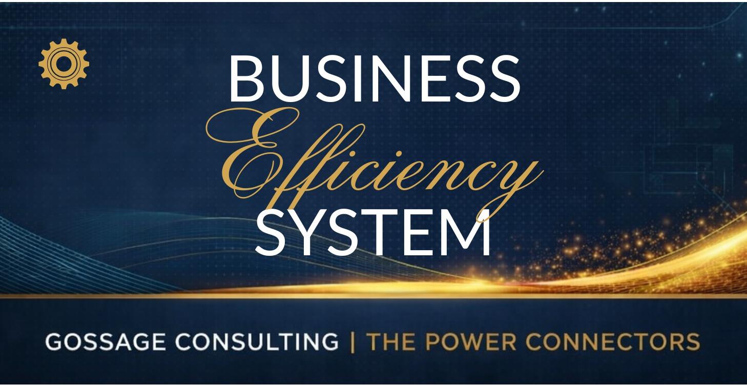 Business Efficiency System