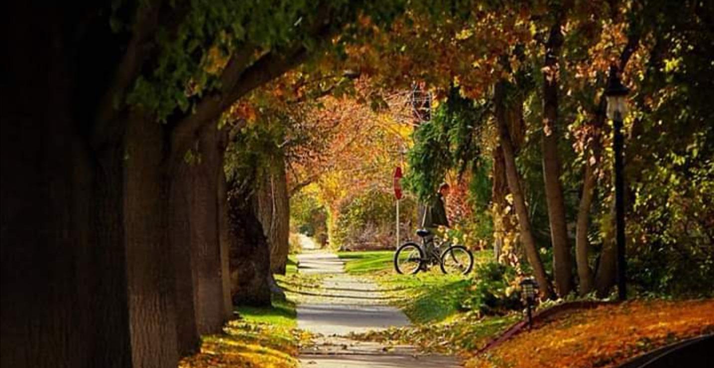 TRAUMA & MORAL INJURY RELEASE 🙏