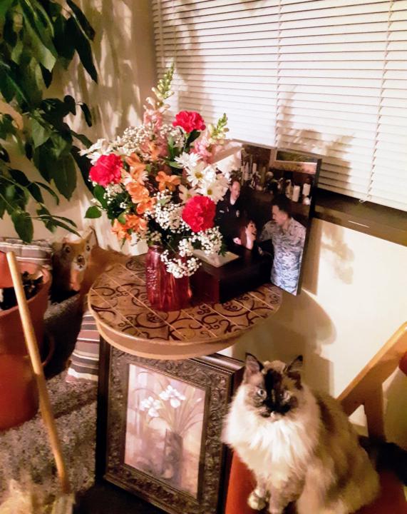 The flowers are for the kitty 🤔