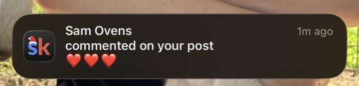 The CEO of Skool interacted with my post?