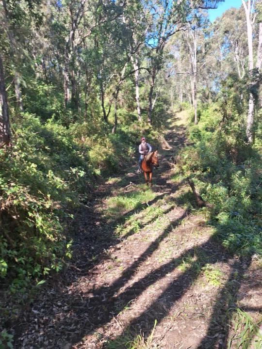 Trails build great horses. 