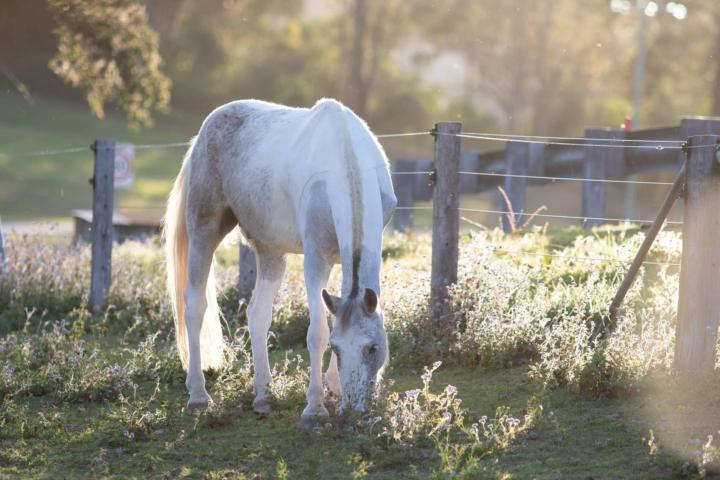 Ok it’s time for pony pics!! 