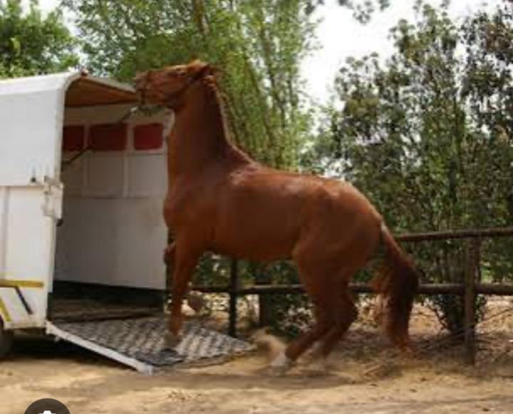 Why practice loading if you never really go anywhere? 