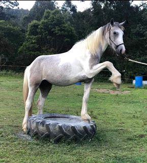 Quit with the criticism for a day 