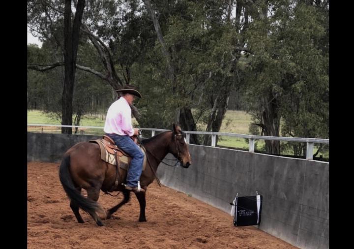 The mechanical cow is up! 