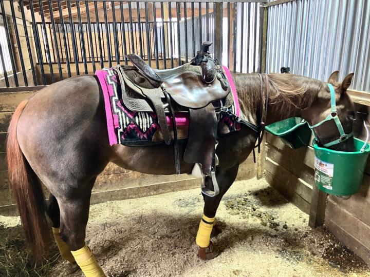 2nd day of changing leads!