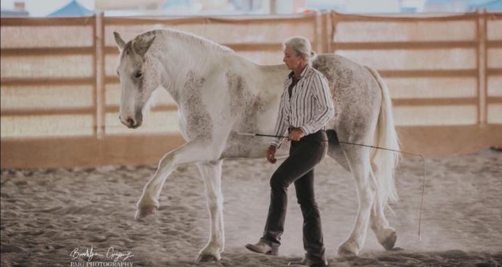 Better Together Horsemanship