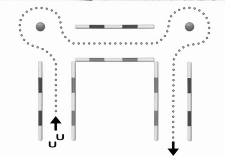 Consistency has more than 1 effect 