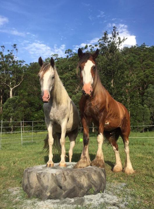 Passion with a capitol P